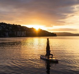 哪个情感挽回公司专业好 最有用的情感挽回公司