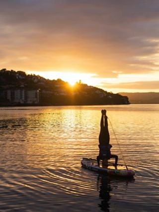 哪个情感挽回公司专业好 最有用的情感挽回公司