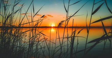 分离小三的文案 分离小三的成功案例