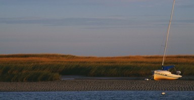 网上情感修复器师有用吗 网上情感修复公司都合法吗