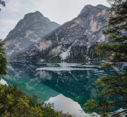 河北情感咨询师挽回 专业情感挽回咨询公司