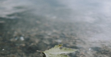 青海有实力挽回婚姻机构 青海婚恋网