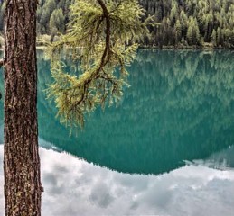 情感挽回机构真的有用吗 情感挽回机构合法吗