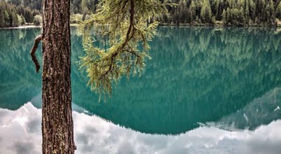 情感挽回机构真的有用吗 情感挽回机构合法吗