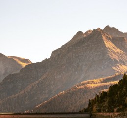免费咨询情感挽回百度 情感挽回在线咨询
