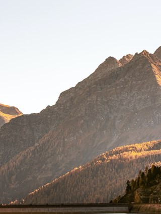 免费咨询情感挽回百度 情感挽回在线咨询