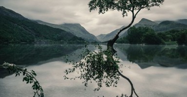 辞职怎么挽回婚姻 辞职了怎么解决
