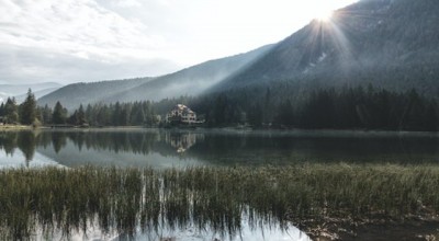 国内成功的情感挽回公司 国内口碑好的情感挽回机构