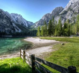 婚姻挽回情感小故事 婚姻挽回情感小故事短篇