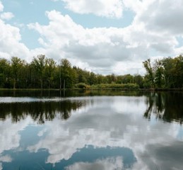 分手挽回情感修复直播 情感挽回视频课程