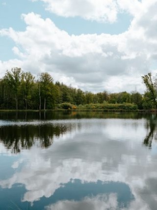 分手挽回情感修复直播 情感挽回视频课程