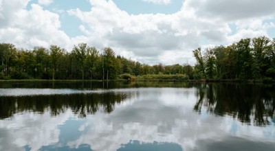 分手挽回情感修复直播 情感挽回视频课程