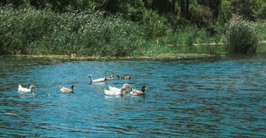 情感挽回情感咨询 情感挽回免费咨询