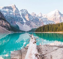 复合后的情感变化 复合后的感情会长久吗 知乎