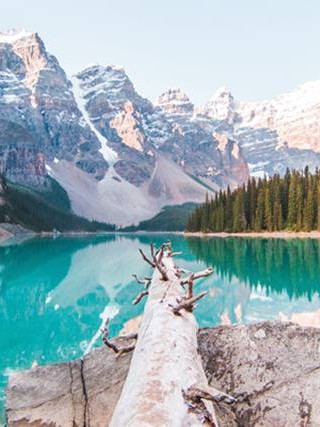 复合后的情感变化 复合后的感情会长久吗 知乎