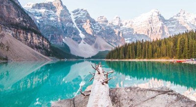 复合后的情感变化 复合后的感情会长久吗 知乎