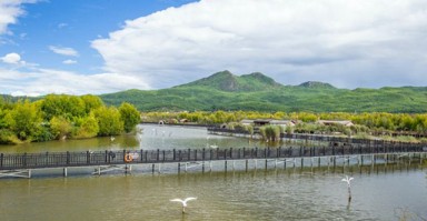 什么星座最无法挽回婚姻 什么星座最难挽回