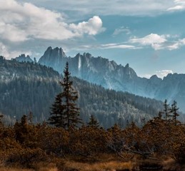 情感挽回淘宝 情感挽回机构怎么退款