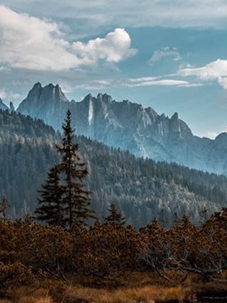 情感挽回淘宝 情感挽回机构怎么退款