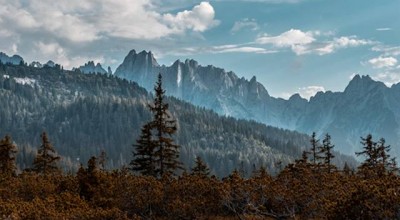 情感挽回淘宝 情感挽回机构怎么退款