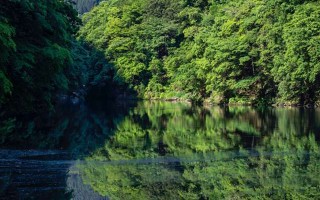 夫妻情感修复及挽回技巧 夫妻情感修复及挽回技巧有哪些