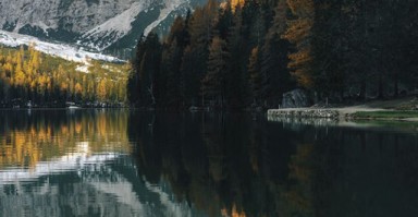 婚姻里不爱了还能挽回吗 婚姻不爱了就离了吧