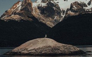 情感保卫战挽回技巧视频 爱情保卫战情感专家都有谁照片