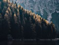 资深小三劝退师培训 小三劝退师培训班