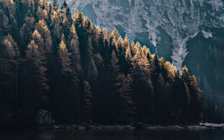 资深小三劝退师培训 小三劝退师培训班