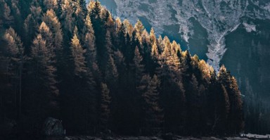 资深小三劝退师培训 小三劝退师培训班