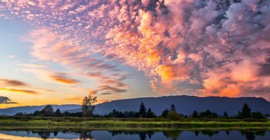 前夫要挽回婚姻 前夫要挽回婚姻吗